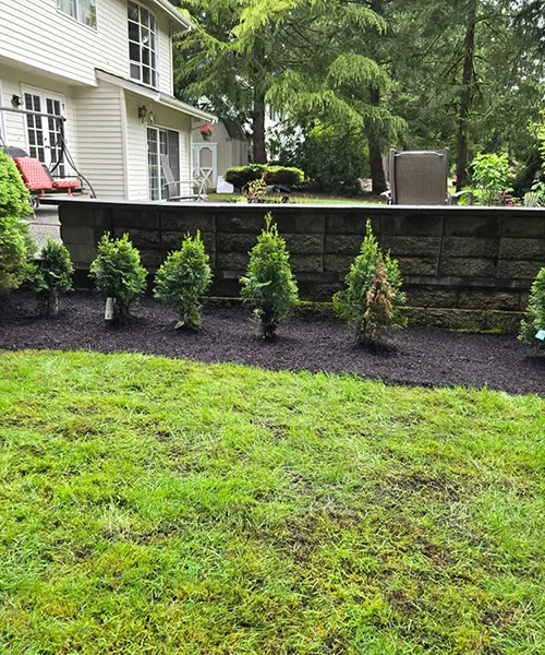 Landscape Maintenance in Bellevue 